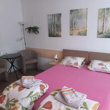 Soukrome 1 شقة Zlín
